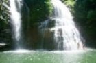Nauyaca
