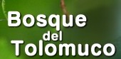 Tolomuco